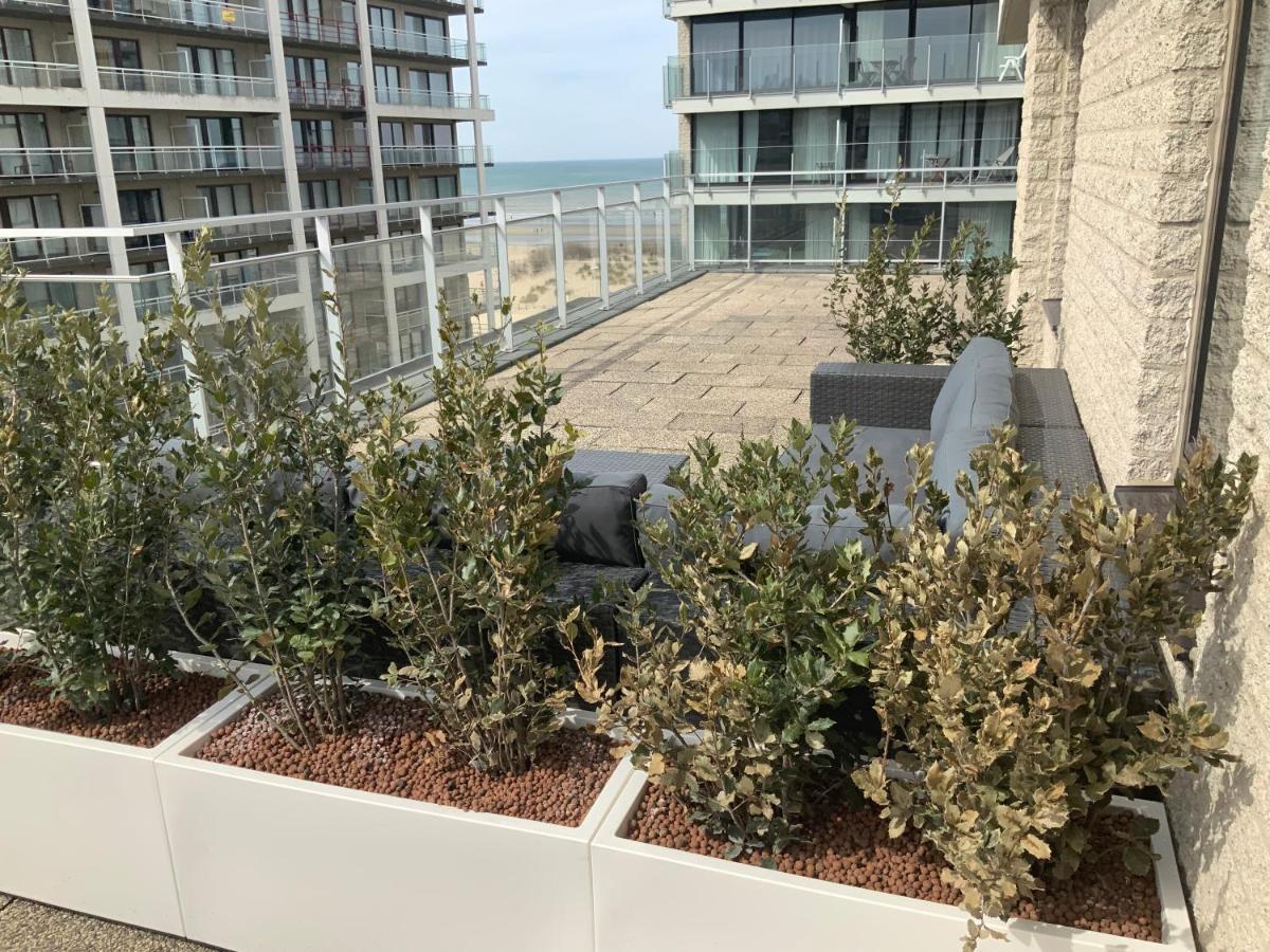 Sea View Penthouse Apartment